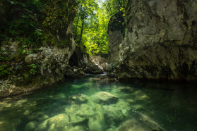 Open habitats in Komarnica: the land of endless sunsets